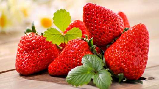 erdbeeren sind nicht nur sehr lecker sondern auch gesund 