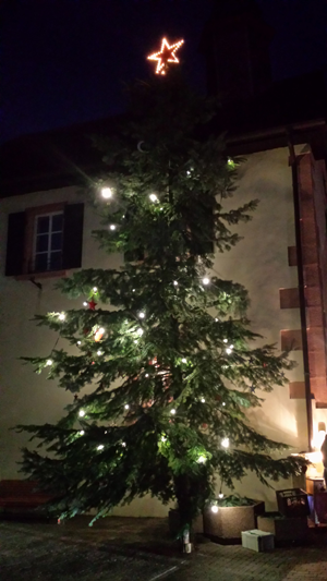 Weihnachtsbaum